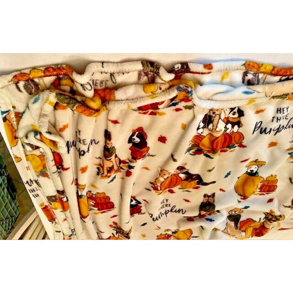 Throw Blanket 50"x 60" Fall Home Decor Soft Polyester Fiber By Celebrate - Picture 9 of 11